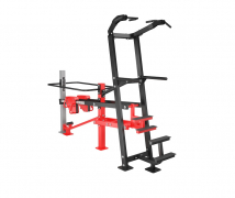Подтягивание/отжимание с противовесом FOREMAN FO-09