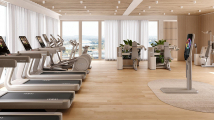 Разгибание спины TECHNOGYM Artis Luxury Lower Back