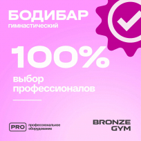 Палка гимнастическая профессиональная бодибар BRONZE GYM FA-BDB1 1 кг