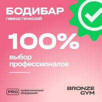 Бодибар BRONZE GYM BG-FA-BDB3 3 кг