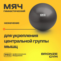 Мяч гимнастический GYM BALL ANTI-BURST FA-GB55 55 см