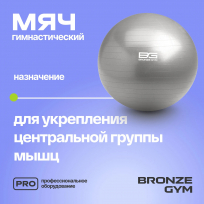Мяч гимнастический GYM BALL ANTI-BURST FA-GB65 65 см