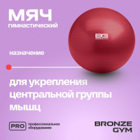 Мяч гимнастический BRONZE GYM BALL ANTI-BURST FA-GB75 75 см