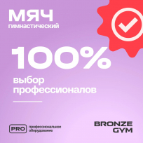 Мяч гимнастический BRONZE GYM BALL ANTI-BURST FA-GB75 75 см