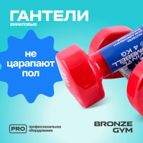 Гантели для аэробики виниловые BRONZE GYM FA-VD4 4 кг (пара)