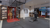 Функциональный рукоход для расширения диапазона тренировок DESIRE FITNESS Sky SR001