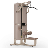 Тяга сверху TECHNOGYM Artis Luxury Lat Machine
