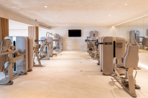 Разведение бедра TECHNOGYM Artis Luxury Multi Hip