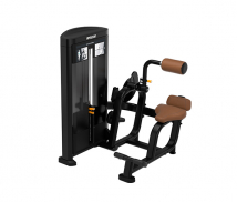 Разгибание спины PRECOR Resolute RSL0313