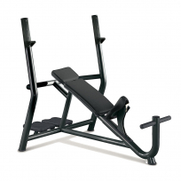 Скамья TECHNOGYM Inclined Bench